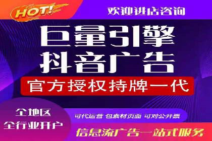 XX行业竞价广告的投放策略与效果分析